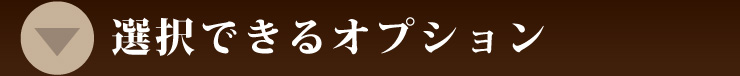 選択できるオプションについて